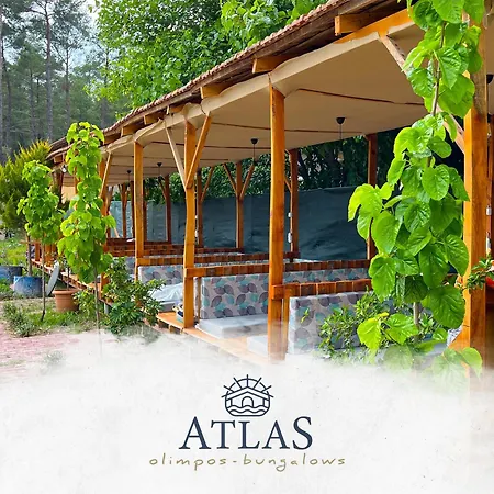 Atlas Bungalows