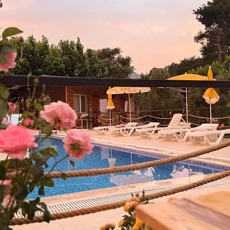 Atlas Bungalows *